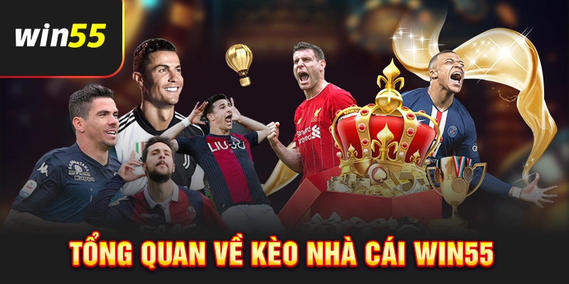 Giới thiệu kèo nhà cái Win55